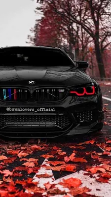I Love Papers | bl32-art-bmw-car-road-blue