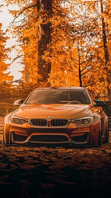 BMW M-Series Case for iPhone 12, 13 and 14 Series – Cold Fusion Zone
