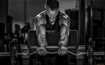 Обои Спорт Body Building, обои для рабочего стола, фотографии спорт, body  building, бодибилдинг, штанга, бицепс, упражнения, фитнес, тренажерный,  зал, мужчина, татуировки Обои для рабочего стола, скачать обои картинки  заставки на рабочий стол.