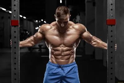 Обои Спорт Body Building, обои для рабочего стола, фотографии спорт, body  building, бодибилдинг, мужчины, рельеф, пресс, мышцы Обои для рабочего стола,  скачать обои картинки заставки на рабочий стол.