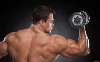 Обои Спорт Body Building, обои для рабочего стола, фотографии спорт, body  building, мужчина, гантели, бодибилдинг Обои для рабочего стола, скачать  обои картинки заставки на рабочий стол.