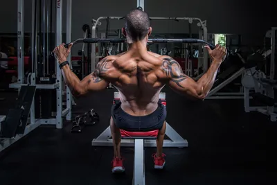 Обои бодибилдинг, gym, motivation, мотивация на рабочий стол