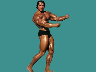 Обои Спорт Фитнес, обои для рабочего стола, фотографии спорт, body  building, bodybuilding, спортсменка, девушка Обои для рабочего стола,  скачать обои картинки заставки на рабочий стол.