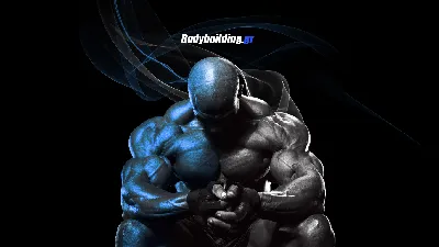 Обои Спорт Body Building, обои для рабочего стола, фотографии спорт, body  building, бодибилдинг Обои для рабочего стола, скачать обои картинки  заставки на рабочий стол.