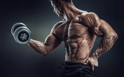 Обои bodybuilding, бодибилдинг, арнольд шварцнеггер, культуризм на рабочий  стол