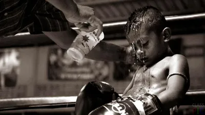 Все авы в телеге ↗️ Ссылка в профиле 🥊 #картинки #реккк #бокс | TikTok