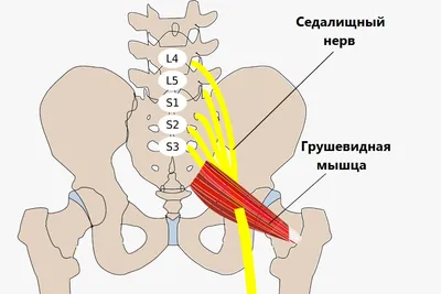 Куда исчезла моя рука? Механизмы появления феномена фантомной конечности