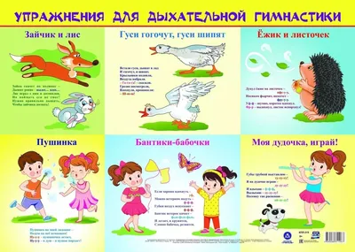 Нумерация зубов в стоматологии – схема, порядок (номера) зубов