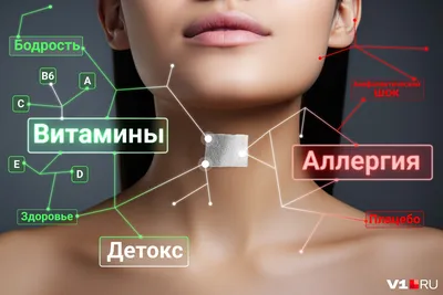 Бактерии — Википедия