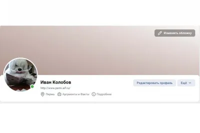 Декор на стену для интерьера: 5 вдохновляющих идей дизайнерского настенного  декора от SKDESIGN