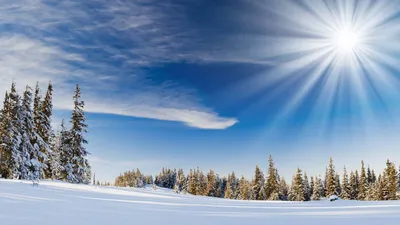 Holiday Christmas HD Wallpaper