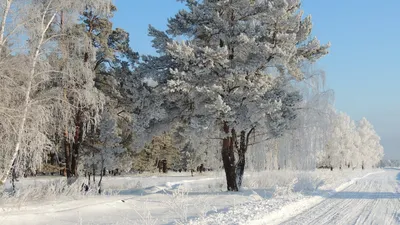 Russian Winter (wallpaper) | Пейзажи, Потрясающие фотографии, Зимние сцены