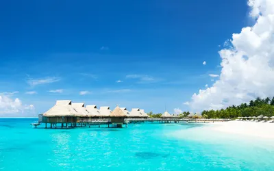 Скачать обои Bora-Bora, ocean, hotels, bungalows, azure, summer, palm  trees, beach для монитора с разрешением 3840x2400. Картинки на рабочий стол