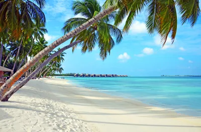 Bora Bora Wallpapers, HD Bora Bora Backgrounds, Free Images Download