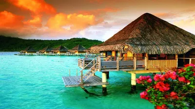Обои на рабочий стол Territoire de la Polynesie Francaise, Bora-Bora /  Французская Полинезия, остров Бора-Бора, бунгало в атолле, зеленый берег,  облака, подсвеченные солнцем, размытые цветы на переднем плане, обои для рабочего  стола,
