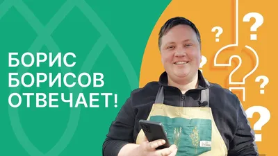 Изображения Бориса Борисова в формате WebP