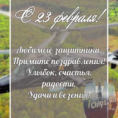 Поздравления брату на 23 февраля