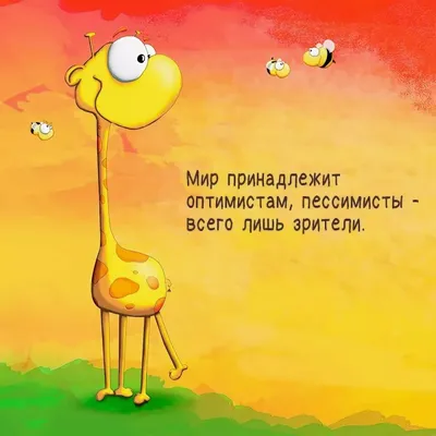 Откуда взять оптимизм?! Как настроиться на позитив? | Сибирская пташка 🐦 |  Дзен