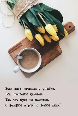 Будь на позитиве ツ | Пушистый юмор. Пушистая братва. ツ | ВКонтакте