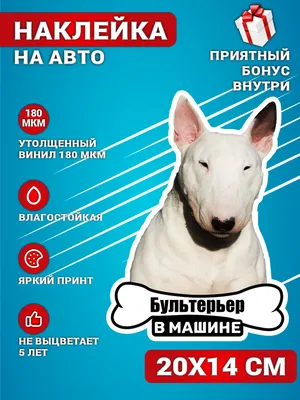 https://shedevrum.ai/post/d76ca8002ddd11eebdd88e6d7e0d9e35