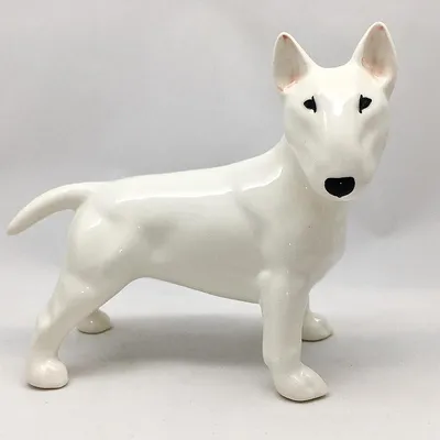 Фонд помощи \"Бультерьер\" ( Charitable Fund “Bull Terrier” ) added a new...  - Фонд помощи \"Бультерьер\" ( Charitable Fund “Bull Terrier” )
