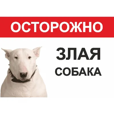 ДогМарт - догмаркет одежды для собак, зоопарикмахерская | Facebook