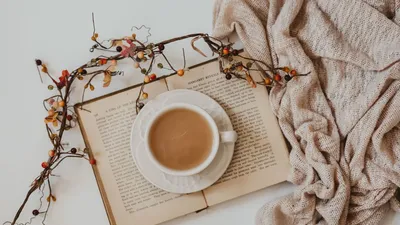 Обои чашка, кофе, напиток, книга, ветка картинки на рабочий стол, фото  скачать бесплатно