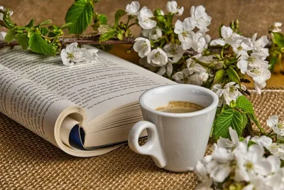 Картинки Чашка, кофе, окно, солнце, рассвет, книга, телефон обои на рабочий  стол - обои 1680x1050, картинка №281390