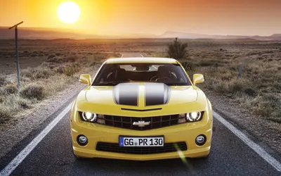 Обои 2011 Chevrolet Camaro Black Cat Автомобили Camaro, обои для рабочего  стола, фотографии 2011, chevrolet, camaro, black, cat, автомобили Обои для рабочего  стола, скачать обои картинки заставки на рабочий стол.