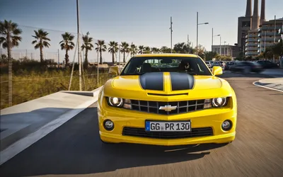 Обои chevrolet, camaro на рабочий стол