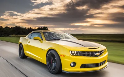 Черный Chevrolet Camaro RS на газоне - обои для рабочего стола, картинки,  фото