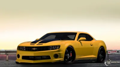 Фон рабочего стола где видно Chevrolet camaro, chevrolet, авто, вид  спереди, чб обои 2560x1600