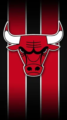 Обои Chicago Bulls 2011-2013 Спорт NBA, обои для рабочего стола, фотографии  chicago, bulls, 2011, 2013, спорт, nba, daffon, arzumanov, rose Обои для рабочего  стола, скачать обои картинки заставки на рабочий стол.