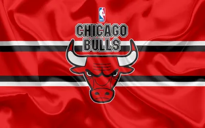 26+ Chicago Bulls обои на телефон от nelli.vasileva