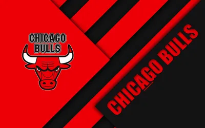 Обои майкл джордан, michael jordan, chicago bulls, номер, имя, nba,  баскетбол, доски картинки на рабочий стол, фото скачать бесплатно