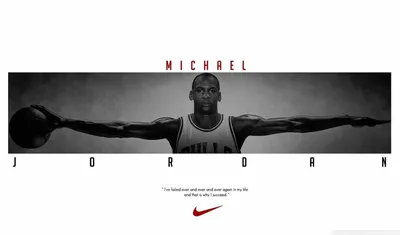 Chicago bulls обои на рабочий стол. Картинки chicago bulls