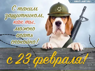 Приближается 23 февраля. Что подарить любимому мужчине