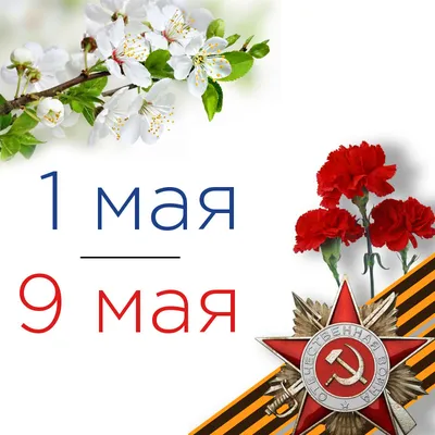Что можно успеть сделать 9 Мая