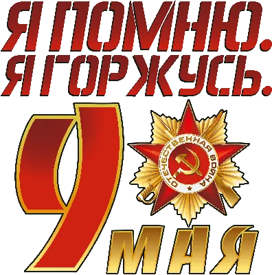Какой сегодня праздник? Что можно и нельзя делать 9 мая | Новый канал