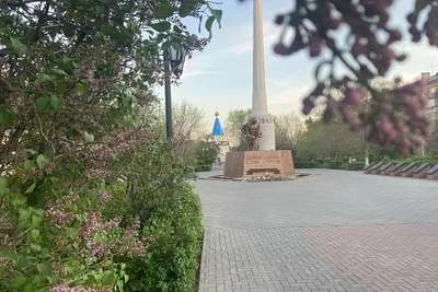 Подборка товаров к 9 Мая | SIMA-LAND.RU