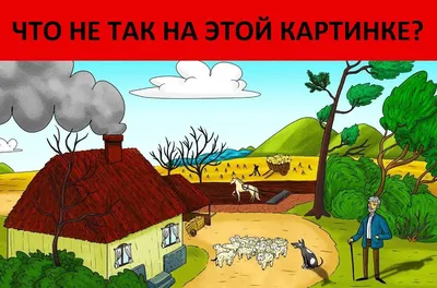 Что не так на картинке? Проверьте свою логику и внимательность 5ю детскими  картинками | Девичник | Дзен