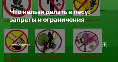 Допишите ещё 6 правил что нельзя делать на природе и в лесу - Школьные  Знания.com