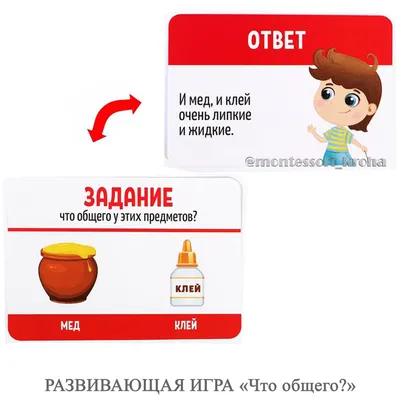 Найди общее или Где логика | Скачать картинки бесплатно