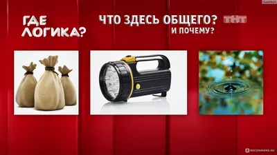 найди общее где логика картинки | Квиз вопросы