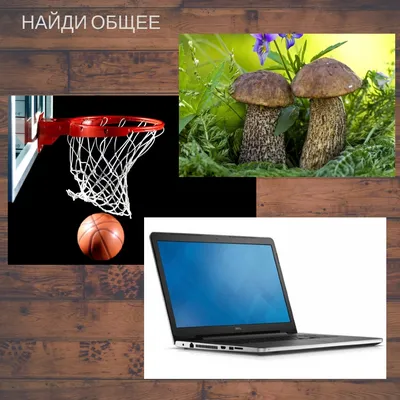 срач - общее :: картинки для срачей / смешные картинки и другие приколы:  комиксы, гиф анимация, видео, лучший интеллектуальный юмор.