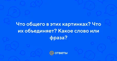 Настольная детская игра развивающая Что общего? ЛАС ИГРАС 15800340 купить  за 198 ₽ в интернет-магазине Wildberries