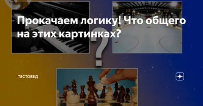 где логика вопросы с ответами | Квиз вопросы