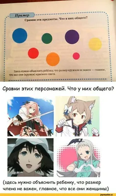 Прокачаем логику! Что общего на этих картинках? | Тестовед | Дзен