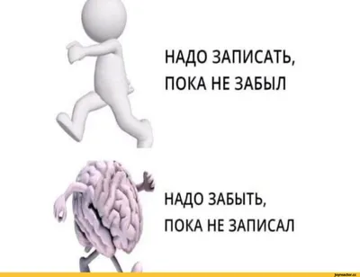 Помогите!!!!! Что общего между данными картинками - Школьные Знания.com