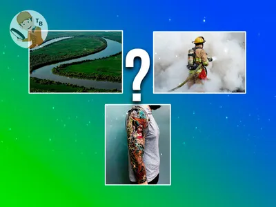 Пособия наглядные Hatber Словарные слова русского языка в картинках для  начальной школы купить по цене 398 ₽ в интернет-магазине Детский мир